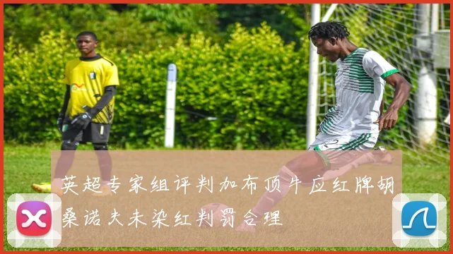 英超专家组评判加布顶牛应红牌胡桑诺夫未染红判罚合理